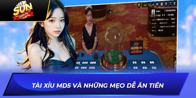 Tài xỉu MD5 và những mẹo dễ ăn tiền